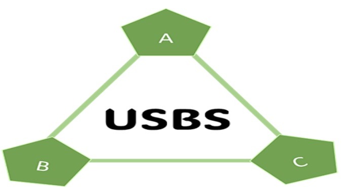 Beyond Syntonisation: Demonstrating Upper Side Band Synchronisation