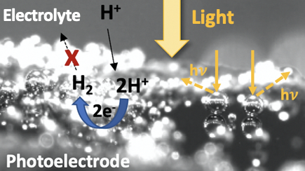 Performance Modelling of Photoelectrochemical Devices in Reduced Gravitational Environments