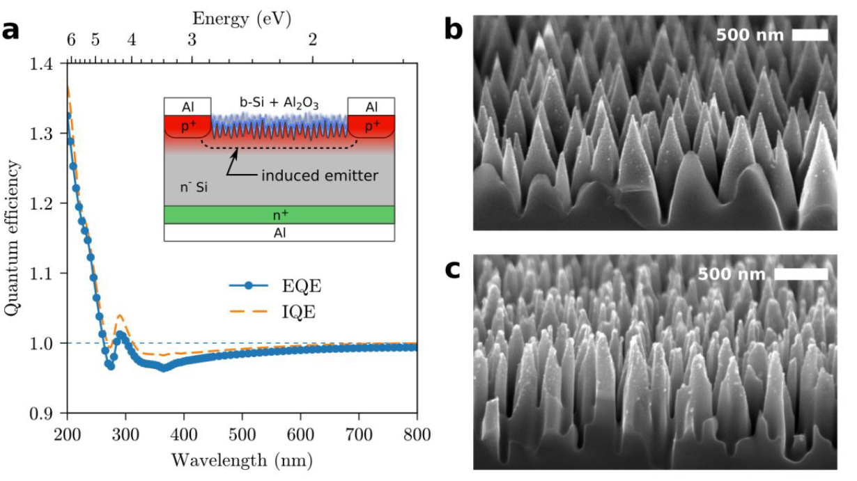 Nano-Black Coating on Silicon CMOS Image Sensors for Extreme Sensitivity