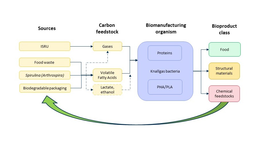 Broad-range biopolymer manufacturing from recycled carbon and CO2