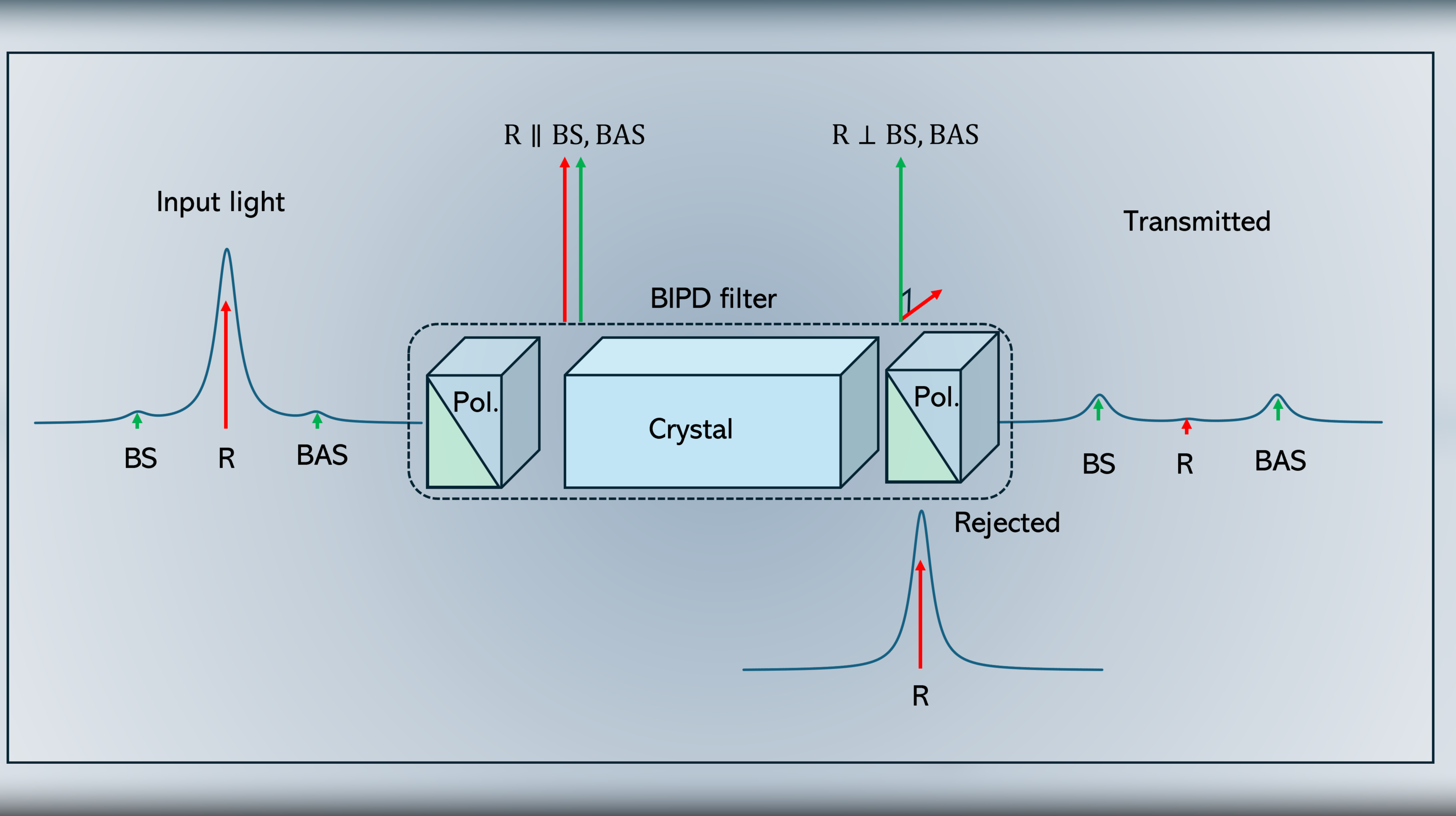 BIPD4Space - Ultracompact birefringent filter for Brillouin-assisted space elastography