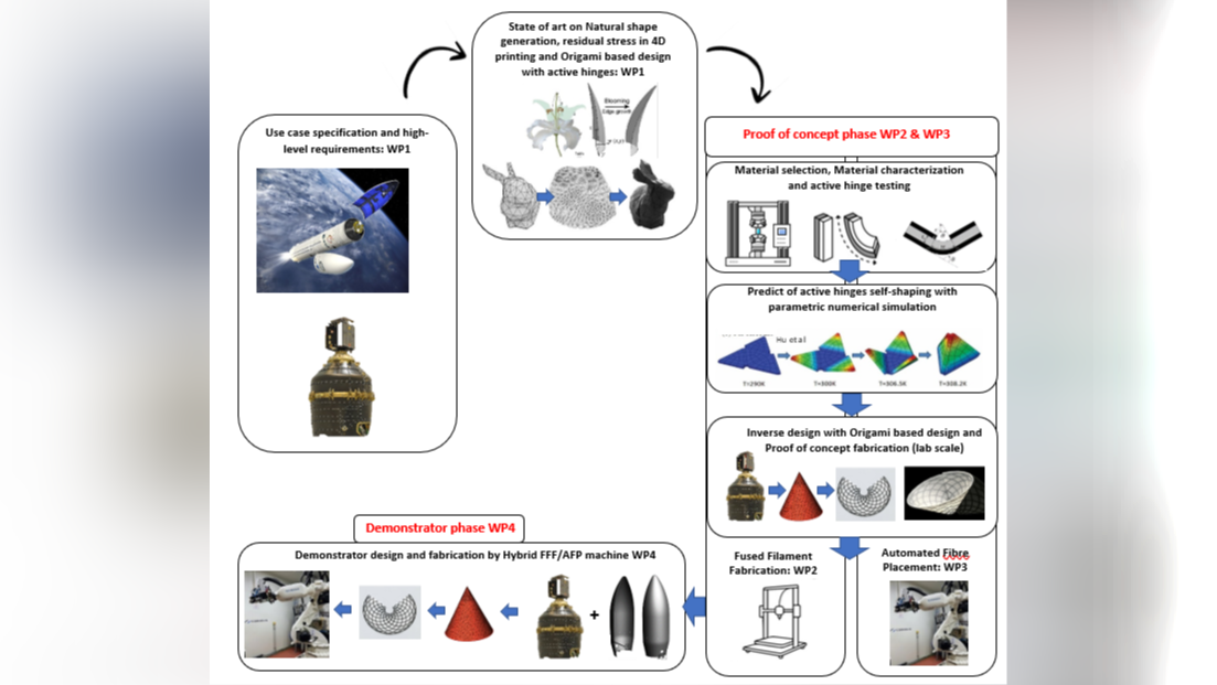 MorphoComp4D