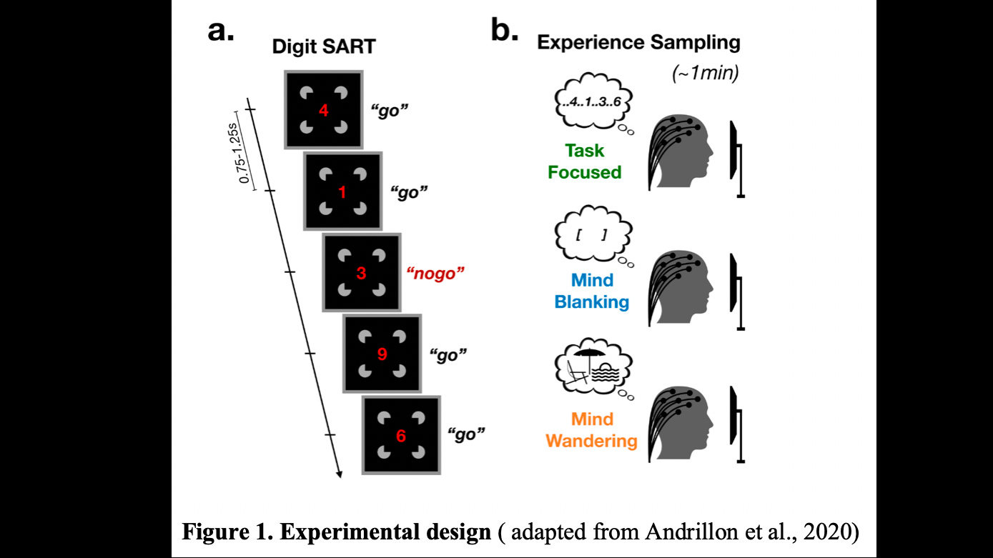 Boosting local sleep in astronauts: a possible way out of attentional lapses.