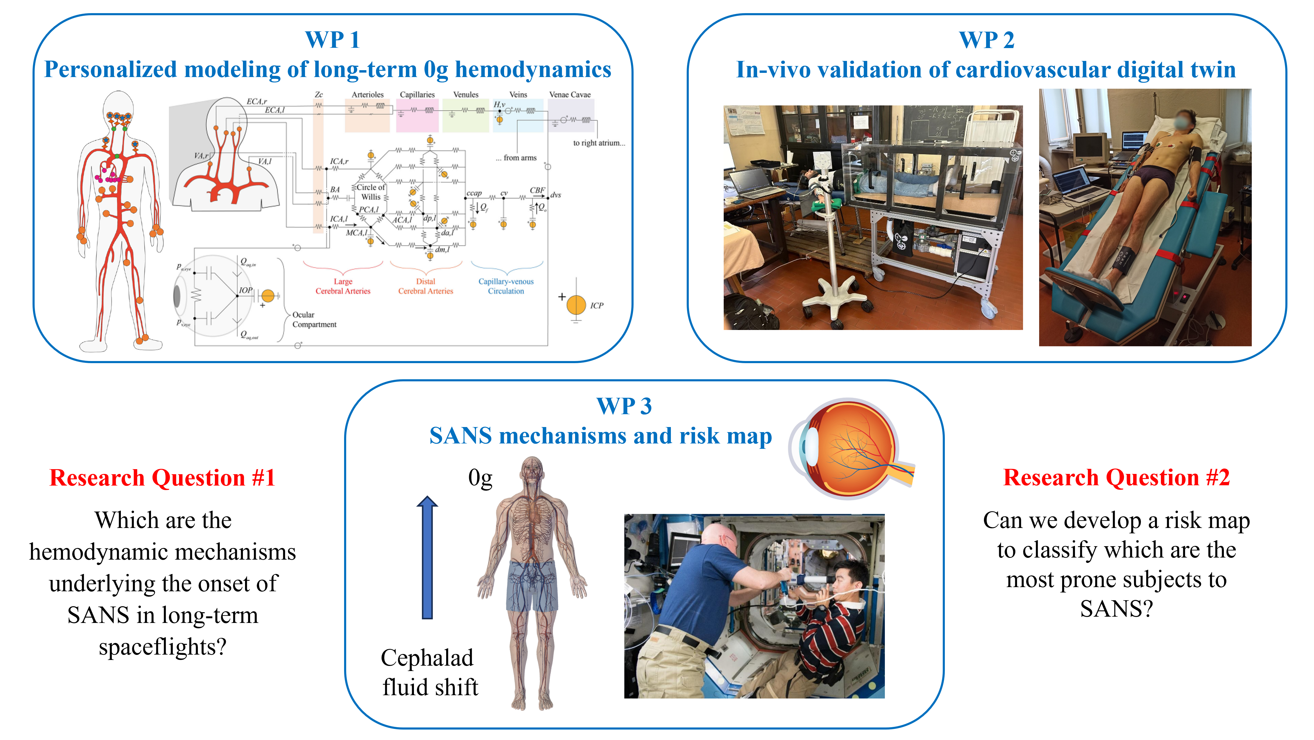 Risk map for the Spaceflight Associated Neuro-ocular Syndrome (SANS) through cardiovascular digital twins