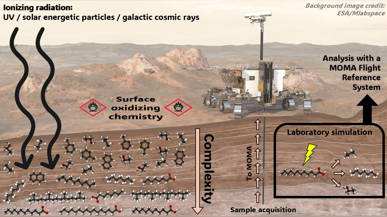 Tracing the history of Martian organic molecules by analyzing irradiated lipids with a MOMA Flight Reference System