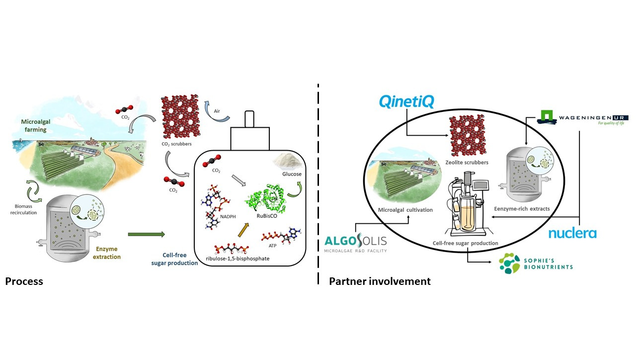 Extracellular conversion of CO2 into sugars and other functional food ingredients: SweetAir