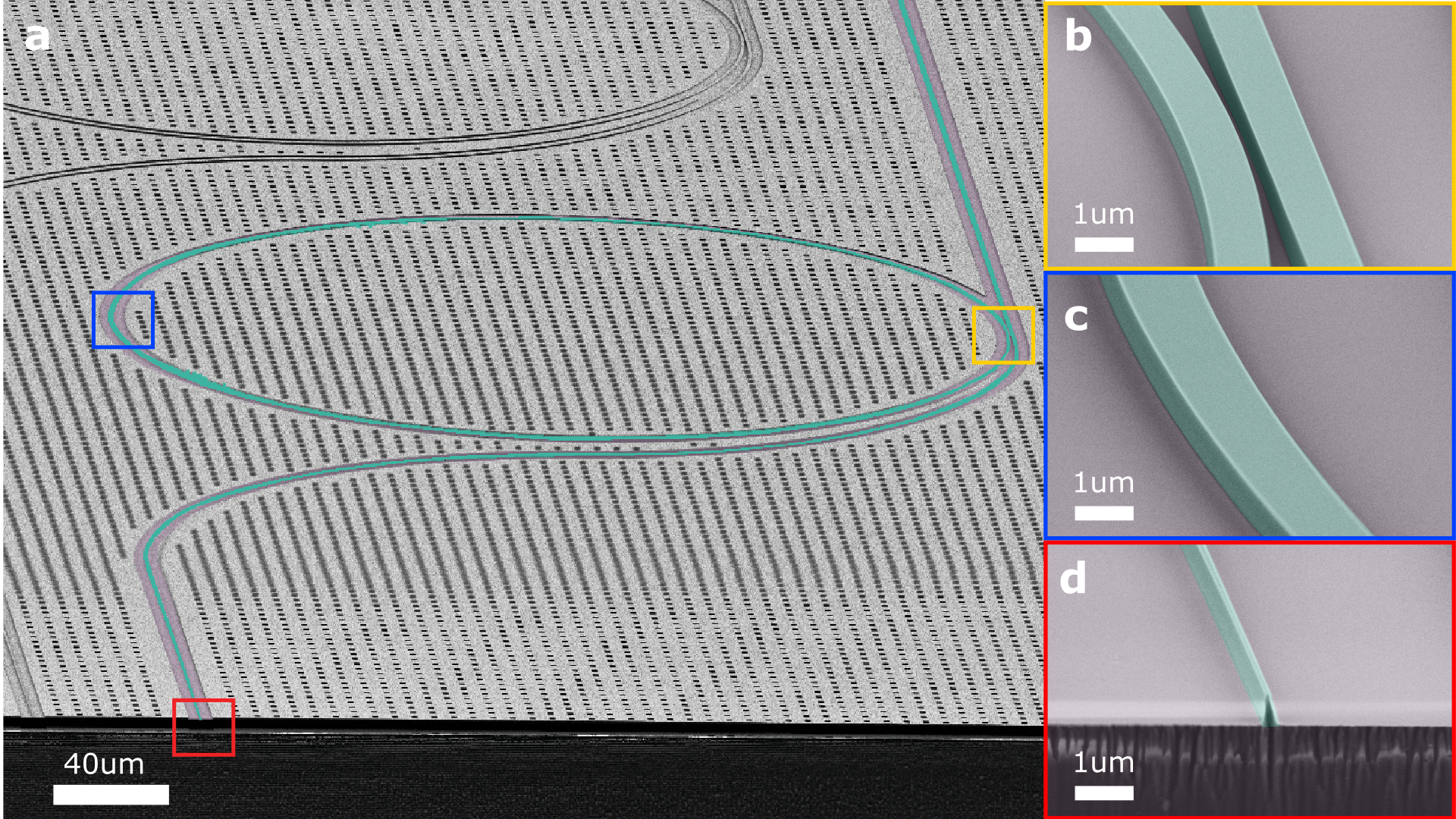 High density Lithium Niobate integrated photonic circuits for high-speed low-voltage modulators