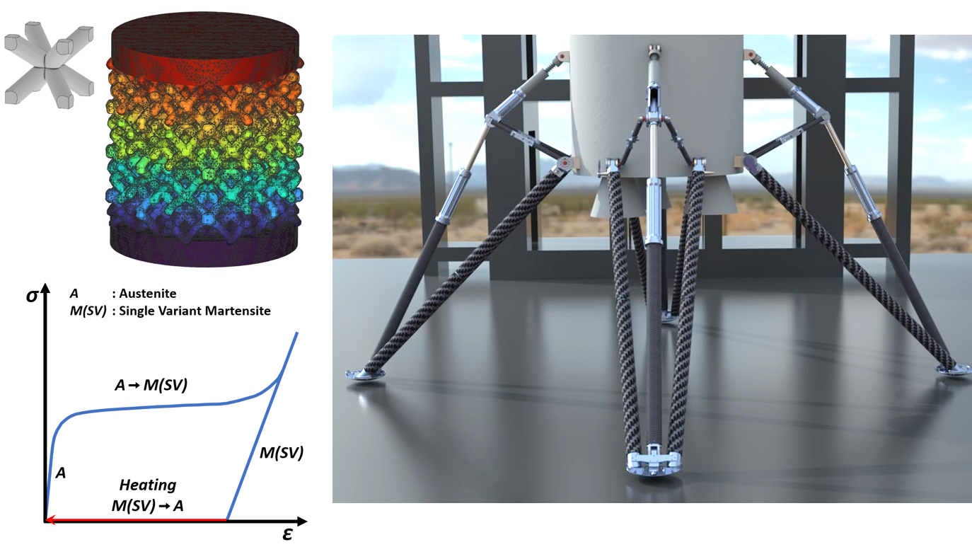 Reusable Shape Memory Shock Absorption Elements for Future Landing Systems using Additive Manufacturing