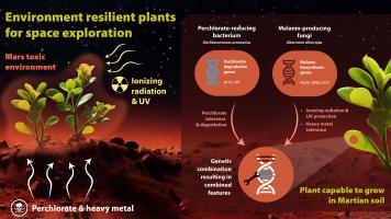 Environment resilient plants for space exploration