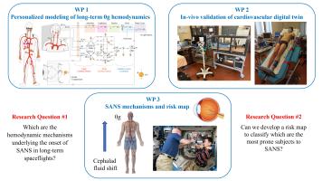 Risk map for the Spaceflight Associated Neuro-ocular Syndrome (SANS) through cardiovascular digital twins