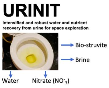 Products recovered from urine