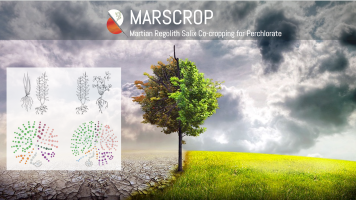 MARSCROP - Martian Regolith Salix Co-cropping for Perchlorate
