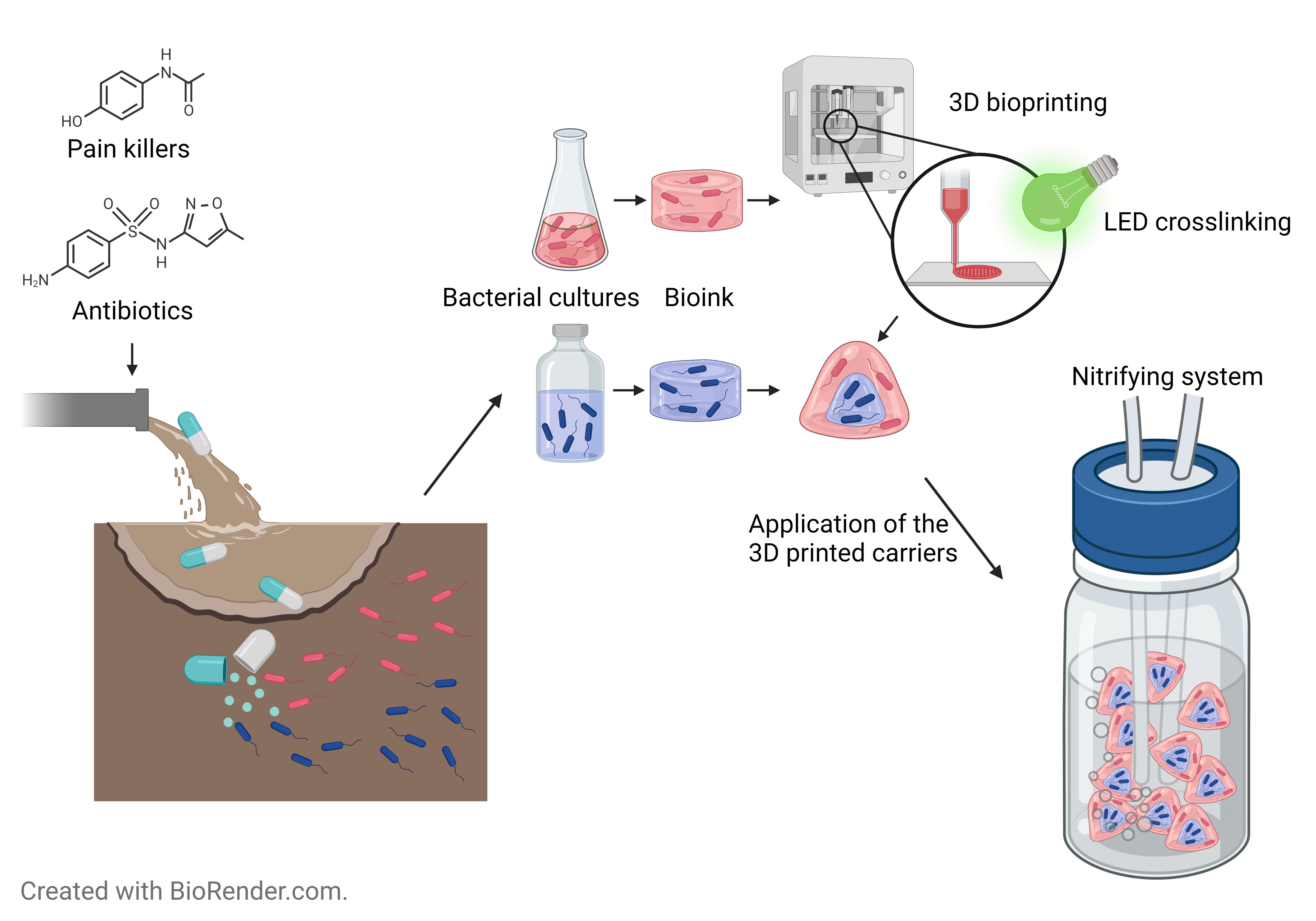 3D-bioprinting of bacterial biofilms for complete removal of pharmaceuticals in nitrifying steps of regenerative life support systems