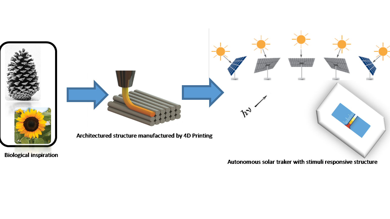 Biologically inspired autonomous solar tracker made with 4D printed shape-changing architectured composite materials for lunar environment.