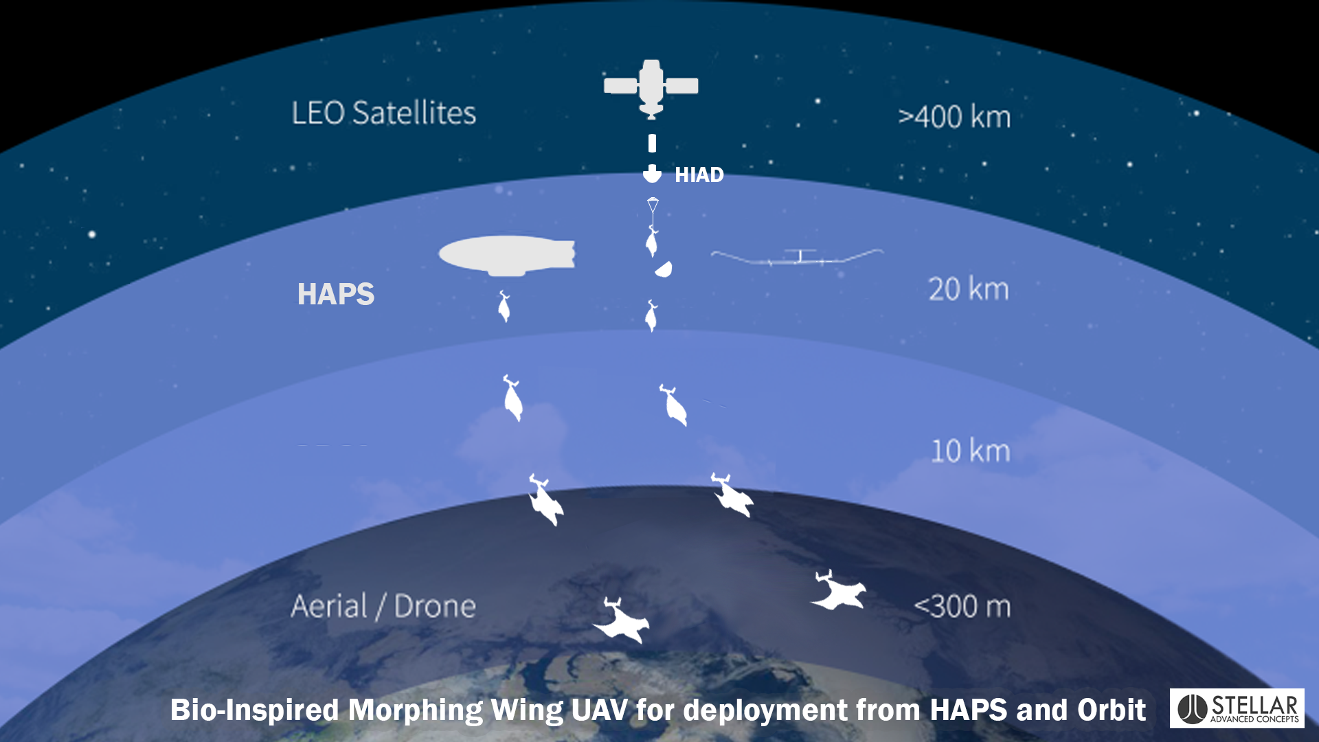 Bio-Inspired Morphing Wing UAV for deployment from HAPS and Orbit