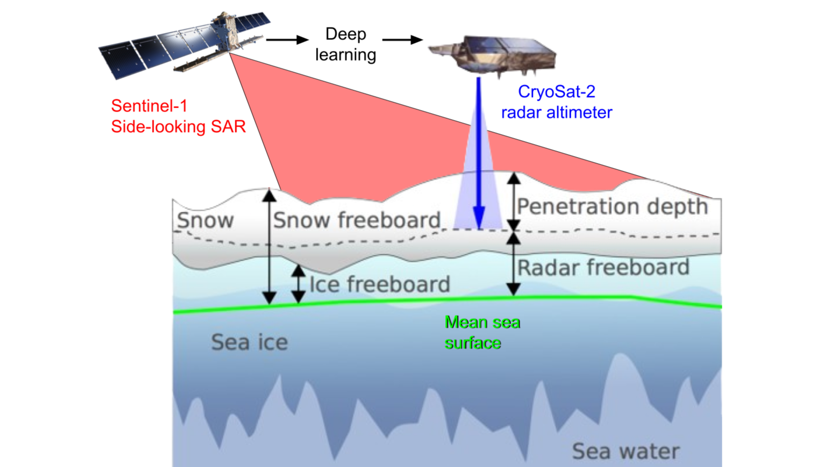 Transfer of sea ice freeboard from CryoSat-2 to Sentinel-1 using deep learning