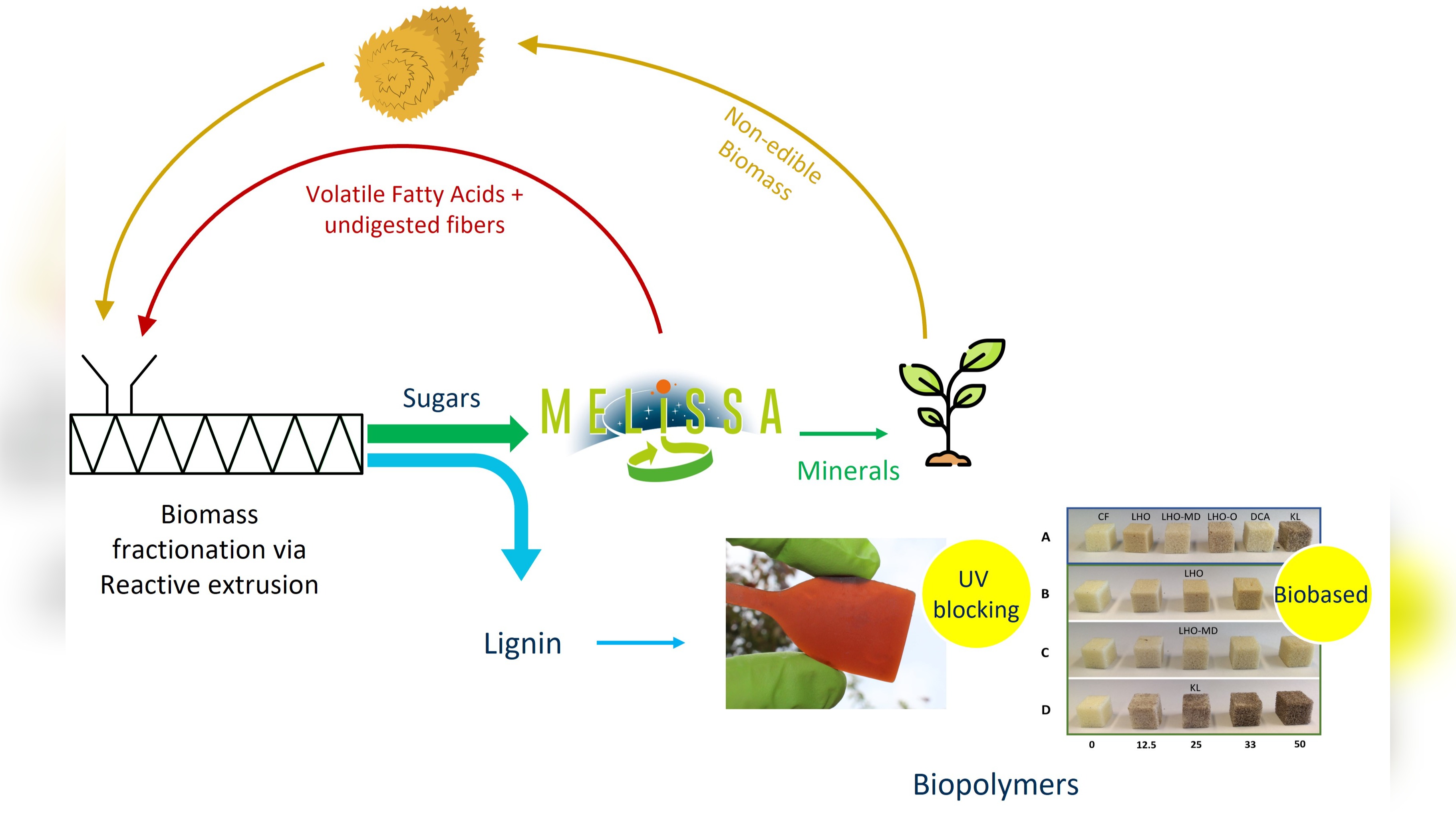 Reactive extrusion to maximise lignocellulosic biomass valorization