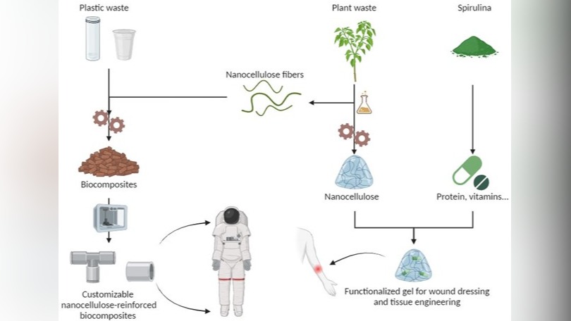 From plant biomass and sidestreams to tissue engineering and biocomposite production