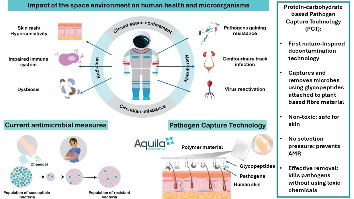 Development and validation of protein-carbohydrate based pathogen capture technology (PCT) for biological decontamination suitable for space flights