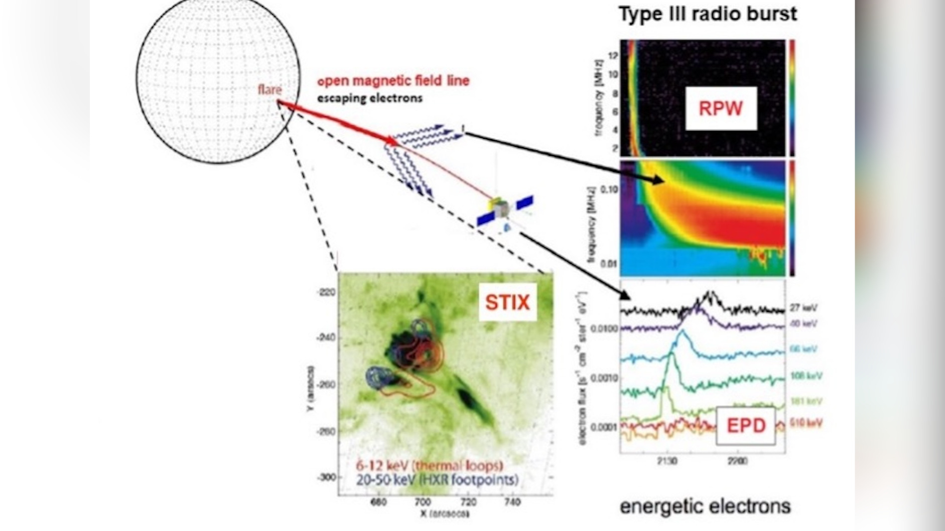 Multi-wavelength analysis of accelerated particles in Solar flares