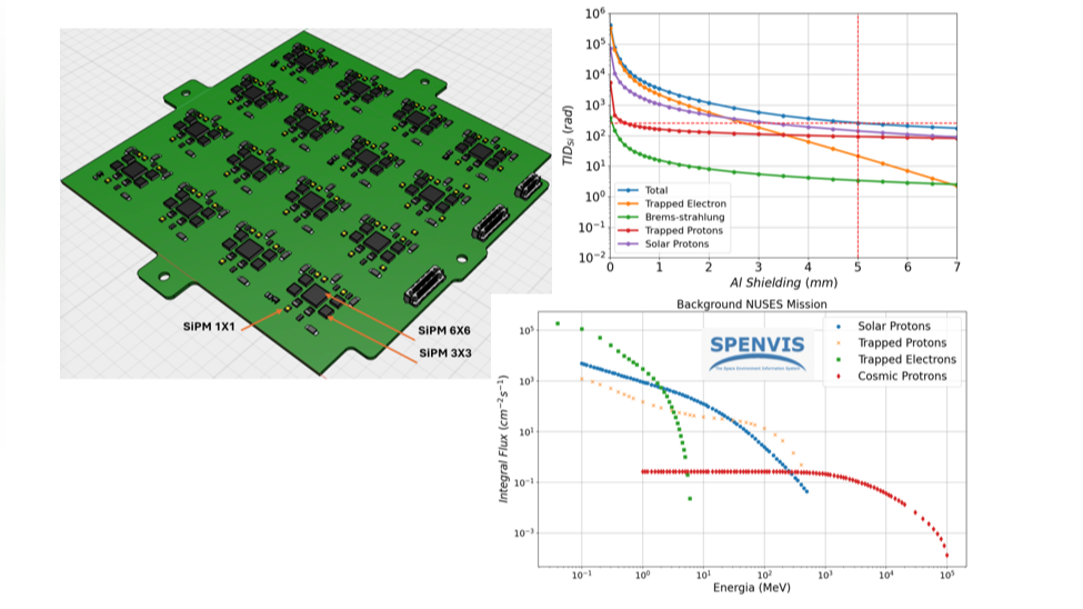 Study, Characterization and Radiation Environment Qualification for the ZIRE' and TERZINA payload SiPM sensors on board the NUSES space mission.