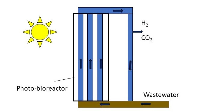 Purple-B: Hydrogen production from immobilized cells in photo-bioreactors