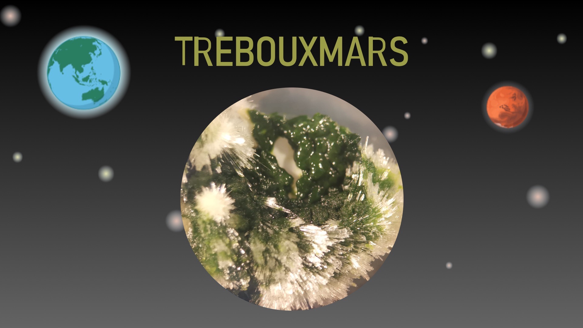 Trebouxiaceae as novel candidates to survive in Mars: assessment of their resistance and ability to produce biomass, and derived interest compounds at small-medium scale using in situ resources.