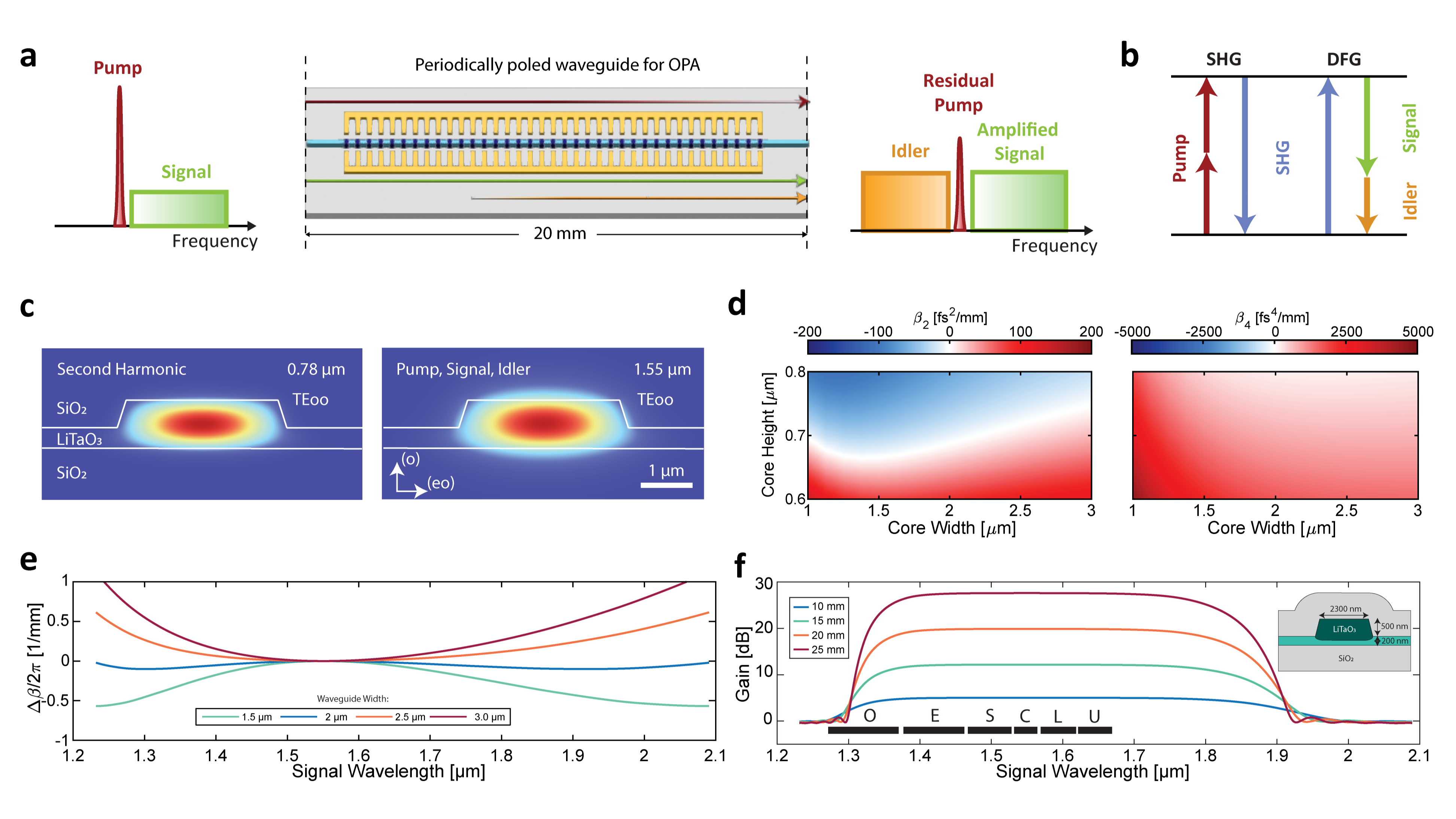 Ultra-broadband optical parametric amplifier in thin film lithium tantalate