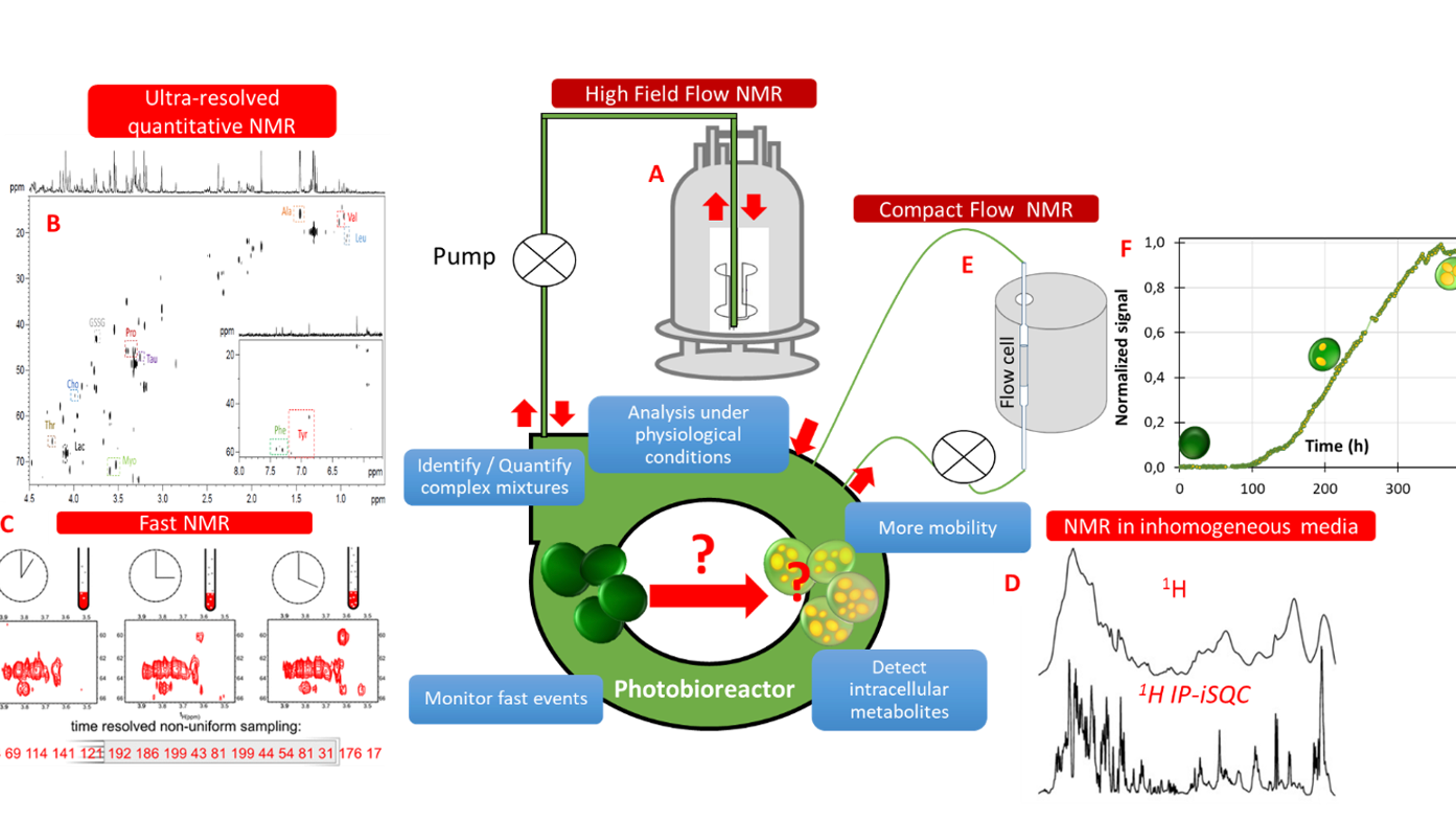 Flow NMR-based online biochemical control of microalgae cultivated in photobioreactor for spatial food supply